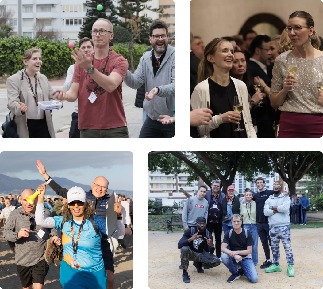 Tacton could be just  the place for you